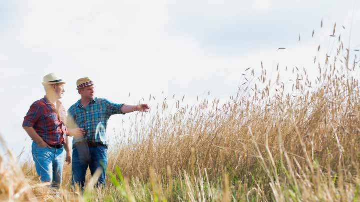Two farmers doing an agricultural planning appraisal in field