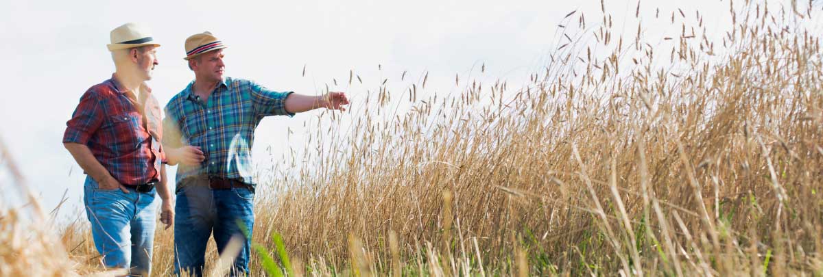 A farmer and agricultural advisor in a field during an agricultural planning appraisal