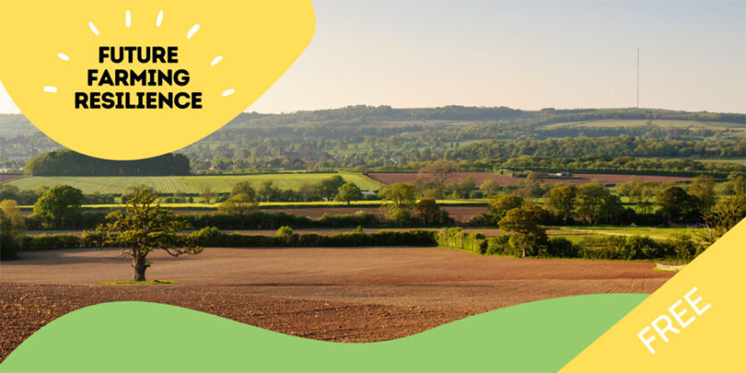 Farm Business Grants: The Rural England Prosperity Fund in Somerset workshop