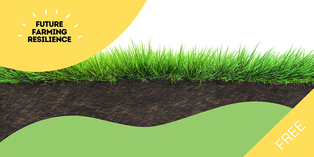 Managing Carbon On Farm Providing Opportunities For Farmers