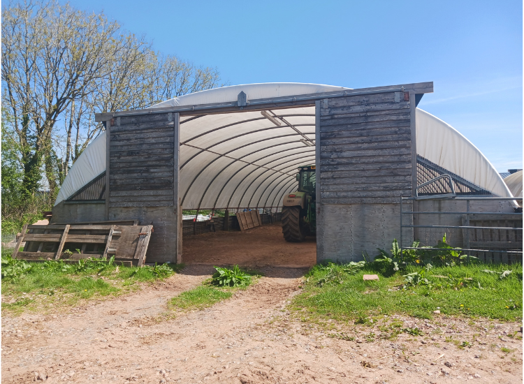 Polytunnel on a farm