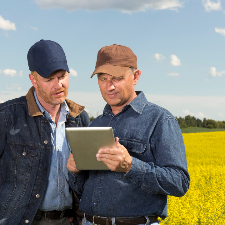 A farmer with an advisor in a field viewing a tablet together