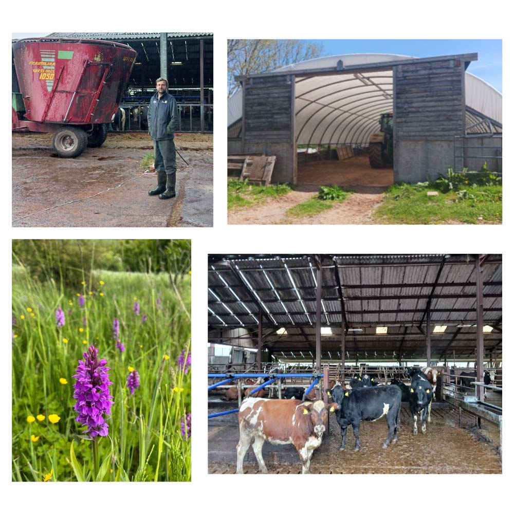A collage of farming images from farms that have used innovation including a farmer in the farmyard, cattle, a barn and herbal ley