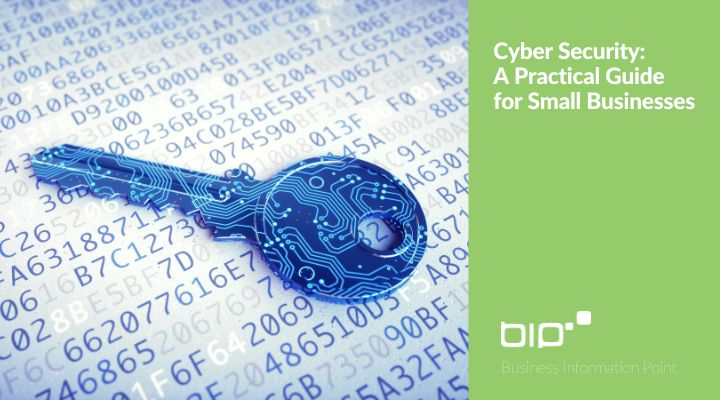 Cyber Security: A Practical Guide for Small Businesses