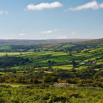 Devon farmland showing rolling fields and green hedgerows
