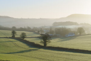 Devon Fields