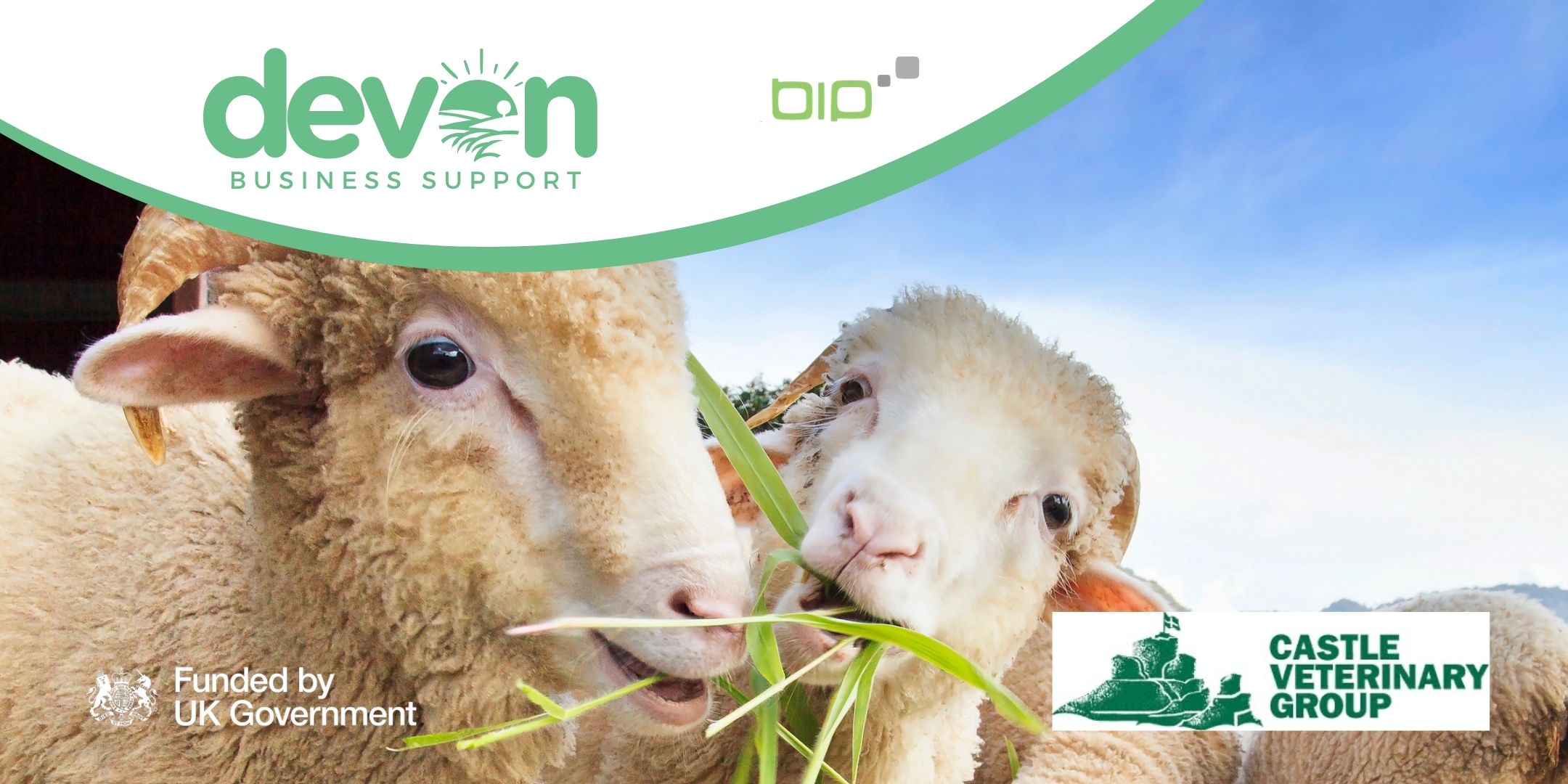 Winter livestock health: Practical priorities for South West farmers - online workshop